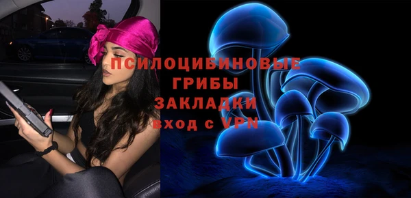 Альфа ПВП Нея