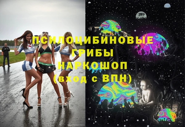 гашик Нефтегорск