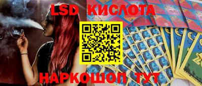 эйфоретик Малгобек
