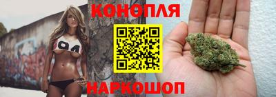 эйфоретик Малгобек