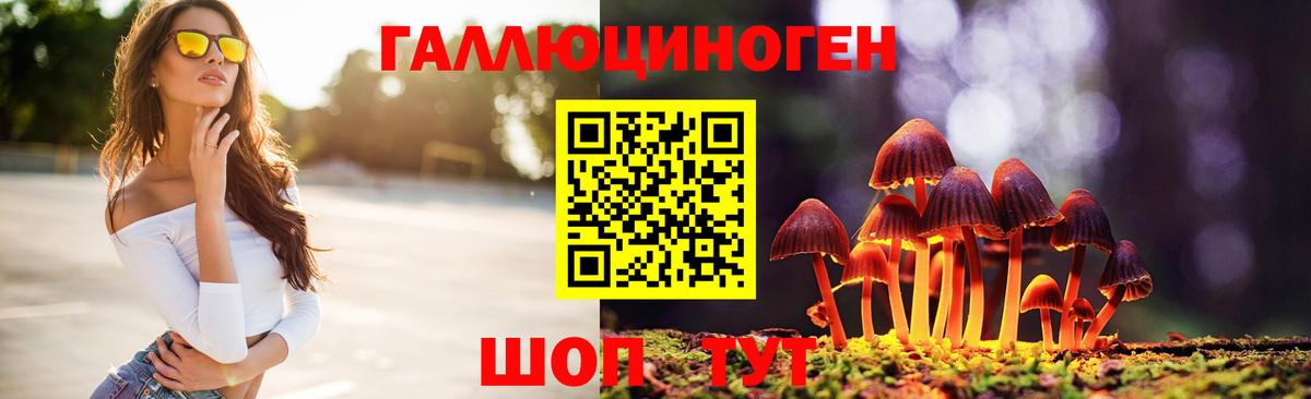 Приморско-Ахтарск  Псилоцибиновые грибы Magic Shrooms  Вход с VPN 